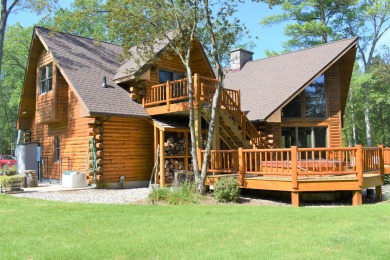 (private lake) Home For Sale in Newaygo Michigan