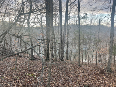 1.49 Unrestricted Lake Cumberland Lake View Acres - Lake Lot For Sale in Nancy, Kentucky