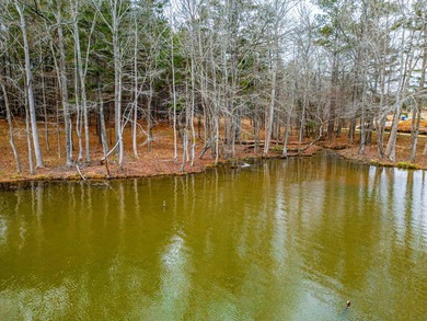 Don't miss your last opportunity to own a private, Lakefront - photo 12
