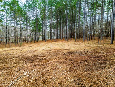 Don't miss your last opportunity to own a private, Lakefront - photo 18