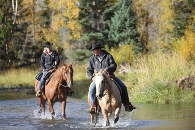 A custom-built legacy home within the gates of Marabou Ranch - photo 20