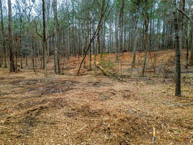 Don't miss your last opportunity to own a private, Lakefront - photo 22