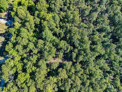 Wooded 14-acre m/l property ready for you to make it your own! - photo 22
