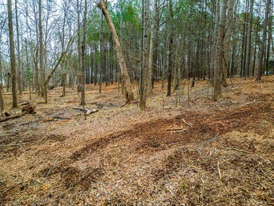 Don't miss your last opportunity to own a private, Lakefront - photo 24