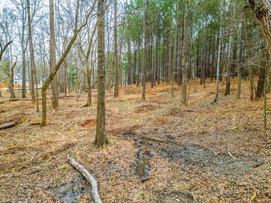 Don't miss your last opportunity to own a private, Lakefront - photo 25