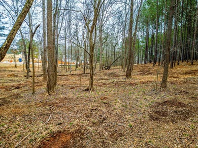 Don't miss your last opportunity to own a private, Lakefront - photo 26