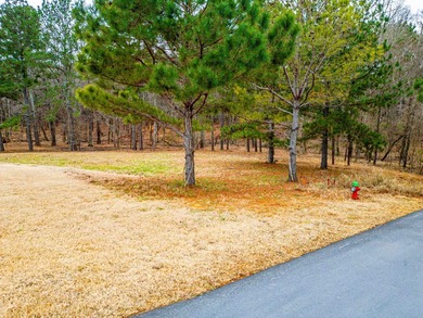 Don't miss your last opportunity to own a private, Lakefront - photo 31
