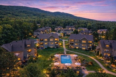 Lac Ouareau Condo For Sale in Saint-Donat QC