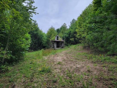 (private lake, pond, creek) Acreage For Sale in Elk Creek Virginia