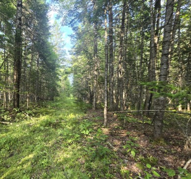  Acreage For Sale in Alton Maine