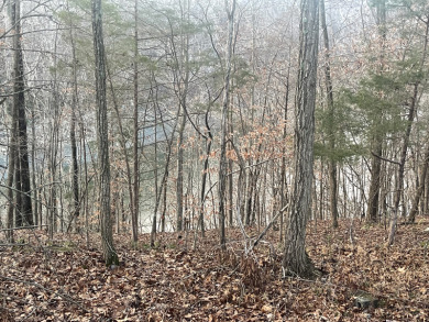 2 Unrestricted Lake Cumberland Lake View, Lake Front Acres - photo 4