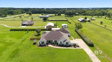 Rare opportunity to own a private estate on the Foley-Summerdale - photo 5