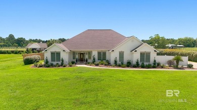 Rare opportunity to own a private estate on the Foley-Summerdale - photo 10