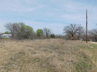 Lot #179 FM 3003 - Over one acre of waterfront land at Lake - photo 4