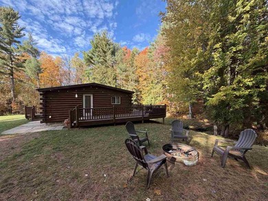 Lake Home For Sale in Central Lake, Michigan