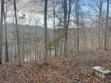 2 Unrestricted Lake Cumberland Lake View, Lake Front Acres - photo 3