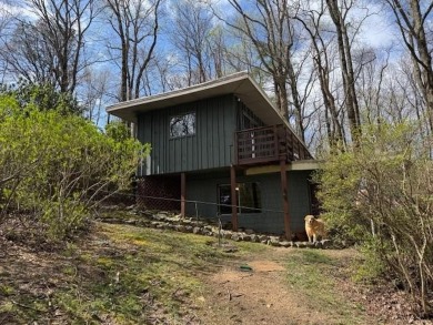 (private lake, pond, creek) Home For Sale in Hillsville Virginia