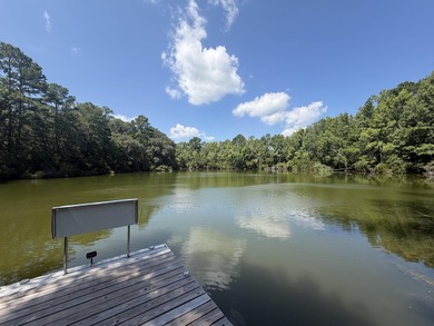 6.19 Acres | Approx. 3-Acre Private Freshwater Lake | 3BR | 2BA - photo 42