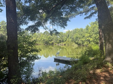 6.19 Acres | Approx. 3-Acre Private Freshwater Lake | 3BR | 2BA - photo 43