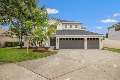 Lake Home For Sale in Land O Lakes, Florida