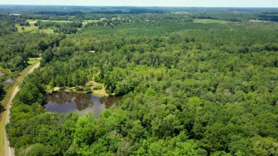 Lake Acreage For Sale in Brantley, Alabama