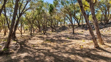 100 acres with 1,950' of live water on Rocky Creek & the - photo 10