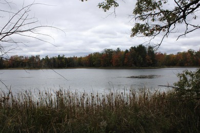 Winslow Lake Acreage For Sale in Mountain Wisconsin