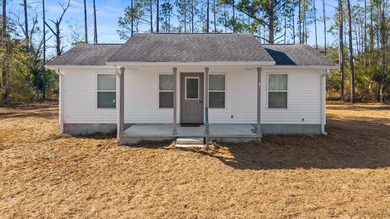 This quaint one bedroom, one bath offers simple southern charm - photo 1