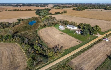 Lake Home For Sale in Eureka Twp, Minnesota