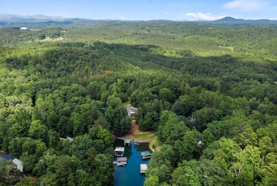 LAKE KEOWEE HOME WITH VACATION RENTAL HISTORY! Welcome to 125 - photo 5
