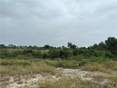 Lake Lot For Sale in Labelle, Florida