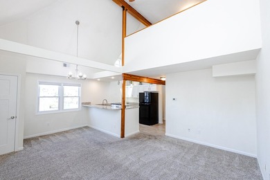 Not all condos are created equal, and unit 201 in this iconic - photo 11