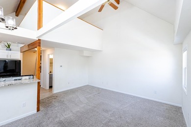 Not all condos are created equal, and unit 201 in this iconic - photo 12