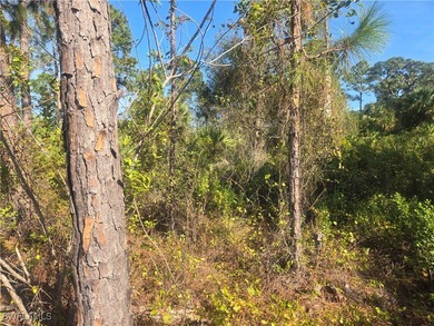 Lehigh Acres Area Lot For Sale in Lehigh Acres Florida