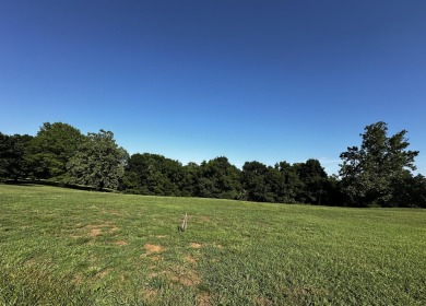 Lake Acreage For Sale in Stockton, Missouri