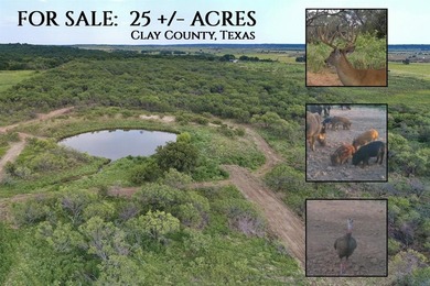 Lake Acreage Active Under Contract in Bowie, Texas