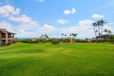 Rarely does an opportunity like this come along at Wailea Ekahi - photo 14