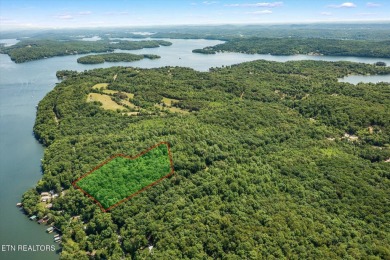 Lake Acreage For Sale in Spring City, Tennessee
