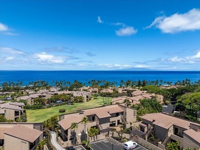Rarely does an opportunity like this come along at Wailea Ekahi - photo 46