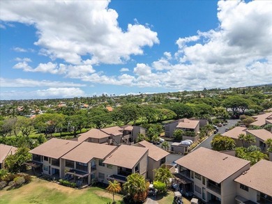 Rarely does an opportunity like this come along at Wailea Ekahi - photo 47