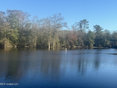 Approx. 63 acres more or less with approx. 1500' frontage on - photo 13
