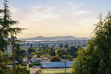$20K PRICE REDUCTION - TRANSPARENT PRICE! Set on a 10,000+ sq.ft - photo 23