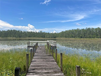 (private lake, pond, creek) Acreage Sale Pending in Clermont Florida