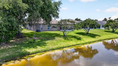 Move-in ready home located in the desirable Bayhill at Viera - photo 18