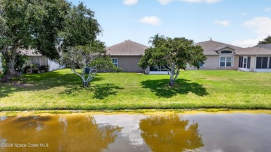 Move-in ready home located in the desirable Bayhill at Viera - photo 19