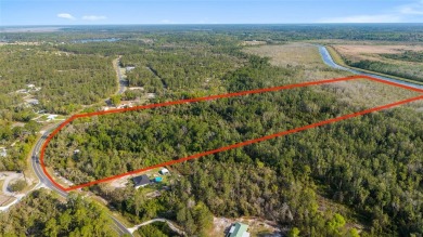 (private lake, pond, creek) Acreage For Sale in Ocklawaha Florida