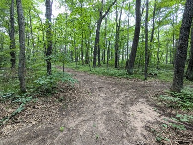 Discover your own slice of tranquility with these wooded lots - photo 2