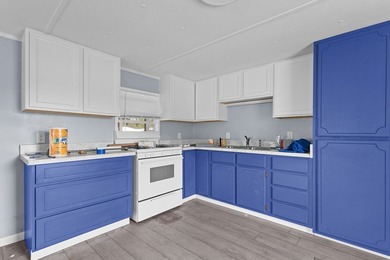 Opportunity awaits in the heart of Steinhatchee! This - photo 10