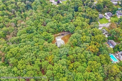 Welcome to the ultimate in luxury and privacy living! This - photo 12