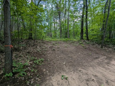 Discover your own slice of tranquility with these wooded lots - photo 2